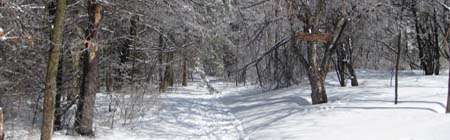 Balch Hill trail